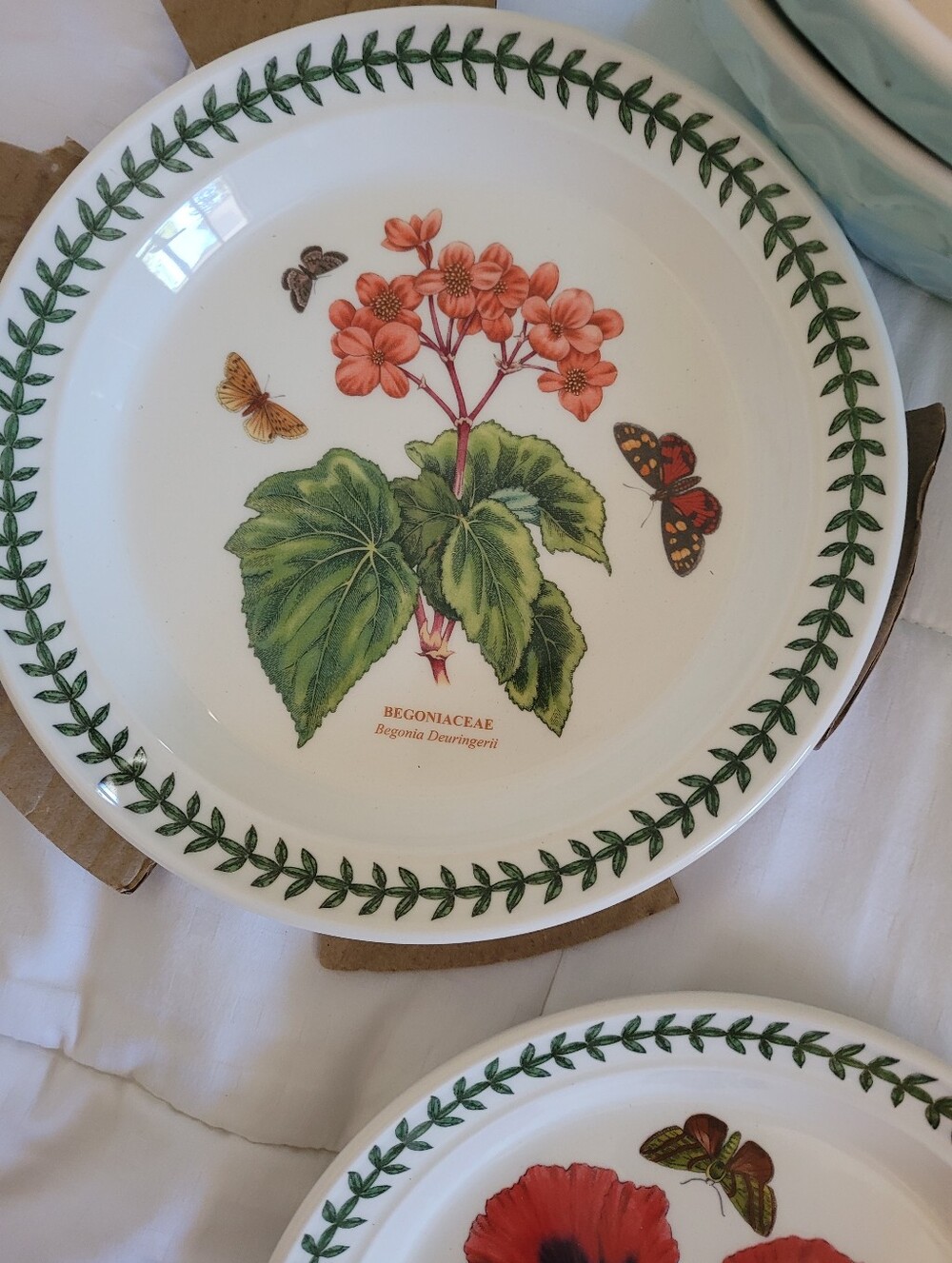 Portmeirion Botanic Garden Salad Plate 8.5in Begonia NWOT